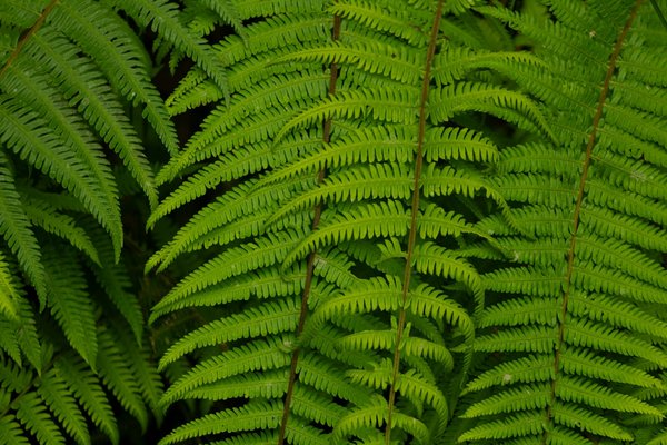 Les essentiels pour naviguer et voyager en bateau